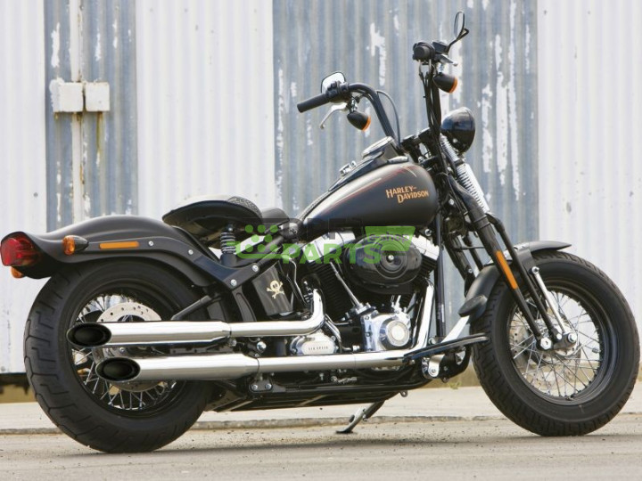 Harley Davidson Cross Bones