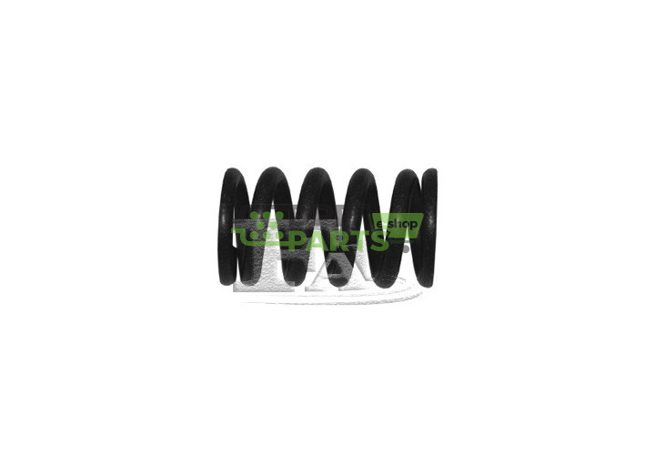 Niss sprezyna - 755-902 F1